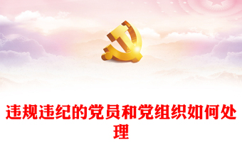 2025支部学习纪律处分条例总结