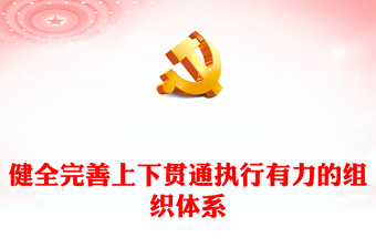 健全完善上下贯通执行有力的组织体系PPT深入学习关于党的建设的重要思想课件(讲稿)