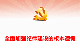 2025政府从严治党督查方案