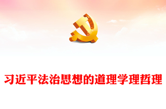 准确把握习近平法治思想的道理学理哲理研讨发言