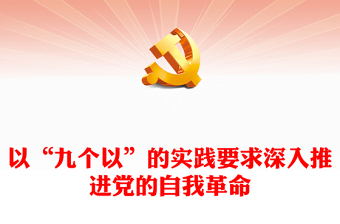 党的中央组织ppt