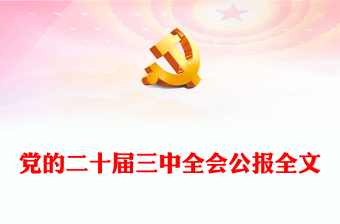 2025图说三中全会精神