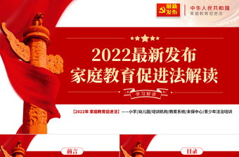 2025少年法庭ppt