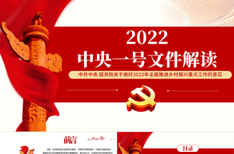 2025关于抓党建促乡村振兴的若干意见11中类型村ppt