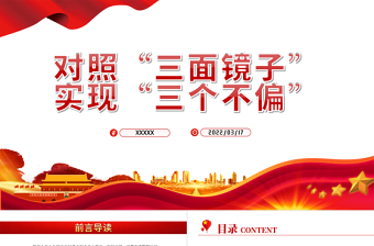 2025特色主题党日汇报党建ppt