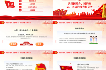 青春献祖国永远跟党走PPT党政风简约风五四新团员入团仪式专题课件模板