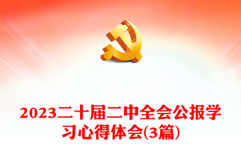 2023二十届二中全会公报学习心得体会(3篇)