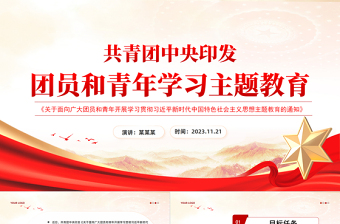 2025团支部基本任务ppt