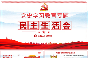 2025党建组织生活会+ppt