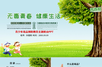 2025青少年法师教育主题班会ppt