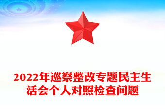 2022年巡察整改专题民主生活会个人对照检查问题