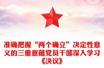 2024党员个人在两个确立决定性意义方面存在问题ppt