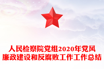 人民检察院党组2020年党风廉政建设和反腐败工作工作总结