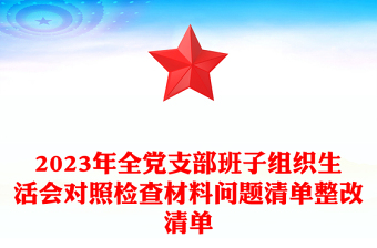 2024年全党支部班子组织生活会对照检查材料问题清单整改清单