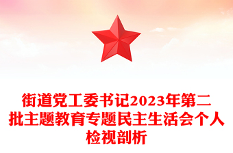 民主生活会个人对照检查PPT大气简洁街道党工委书记第二批主题教育自我检视剖析(讲稿)