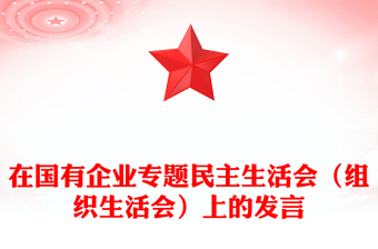 2025司法所长民主生活会发言材料