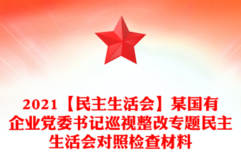 【民主生活会】某国有企业党委书记巡视整改专题民主生活会对照检查材料