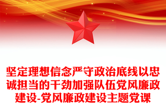 2024二十届三中全会党建和党风廉政建设工作情况ppt