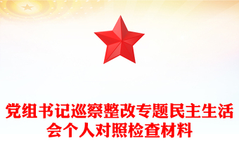 党组书记巡察整改专题民主生活会个人对照检查材料