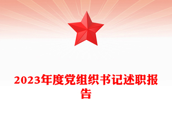 2025党组织述职ppt背景