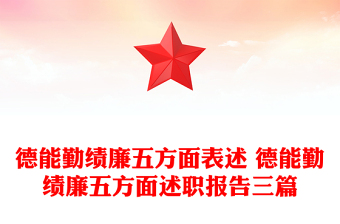 2025学校副书记述职德能勤绩廉PPT