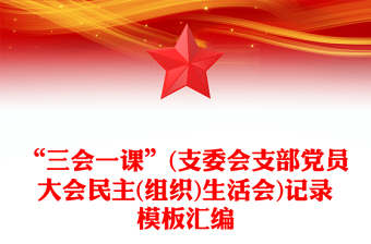 2025派出所党支委会模版ppt