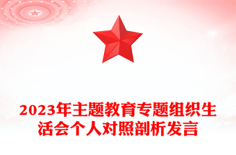 党政风优质2023年主题教育专题组织生活会个人对照剖析发言PPT(讲稿)