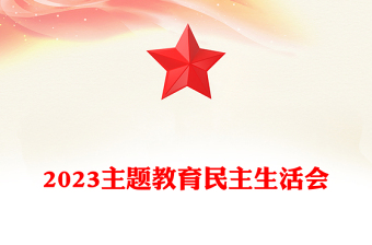 2023主题教育民主生活会PPT党政风简约党员检视问题原因分析及整改措施模板(讲稿)