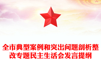 全市典型案例和突出问题剖析整改专题民主生活会发言提纲