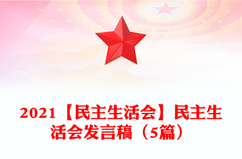 2025党员干部民主生活会ppt