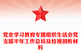 党史学习教育专题组织生活会党支部半年工作总结及检视剖析材料