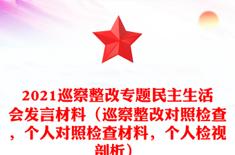 2025党员二个确立个人对照检查ppt