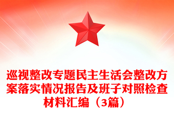 2025党建宣传员情况报告