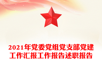 2025党建工作专项述职ppt