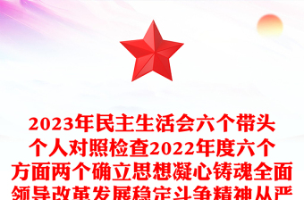 2024年民主生活会六个带头个人对照检查六个方面两个确立思想凝心铸魂全面领导改革发展稳定斗争精神从严治党责任等方面集团企业党委书记检视剖析材料发言提纲