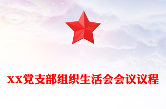 2025教师党支部组织生活会个人ppt