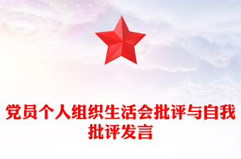 2025团组织生活会自我评价