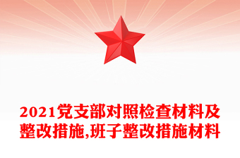 党支部对照检查材料及整改措施,班子整改措施材料