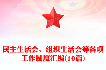 2025交警副大队长组织生活会个人剖析材料ppt