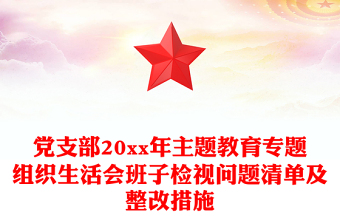 党支部20xx年主题教育专题组织生活会班子检视问题清单及整改措施