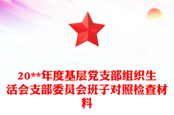 2025组织生活会红底党建ppt