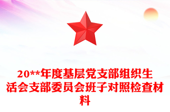 20**年度基层党支部组织生活会支部委员会班子对照检查材料