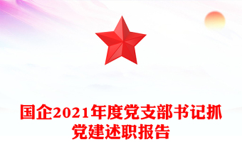 2025简约实用党支部述职ppt