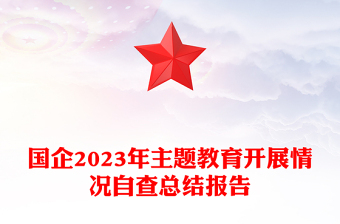 国企2023年主题教育开展情况自查总结报告PPT模板(讲稿)