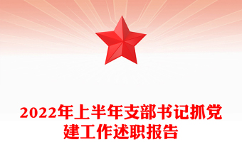 2025乡镇长抓党建报告