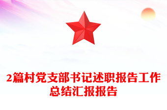 2025支部书记述职议程ppt