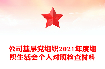 2025县委组织部机关支部对照检查材料ppt