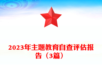 2023年主题教育自查评估报告（3篇）