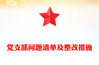 党支部问题清单及整改措施
