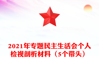 2021年专题民主生活会个人检视剖析材料（5个带头）